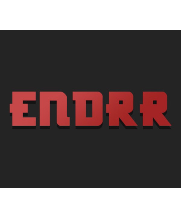 ENDRR Steam Key GLOBAL
